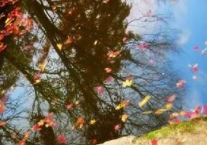 物自身變化，表象也就產生變化