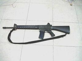 六五步槍 六五步槍