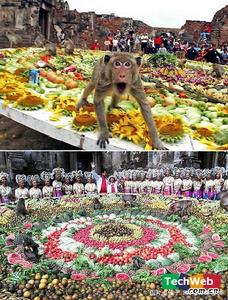 （圖）世界十大古怪節日