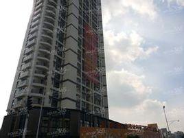 永寧星座 永寧星座