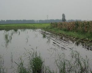 劉垓子村 劉垓子村