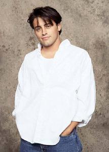 馬特&middot;李布蘭克