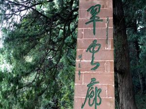 翠雲廊風景區 翠雲廊風景區