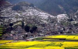 貴定金海雪山景區