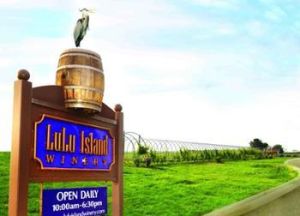 美景酒莊 美景酒莊