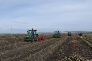 牙克石農場 牙克石農場