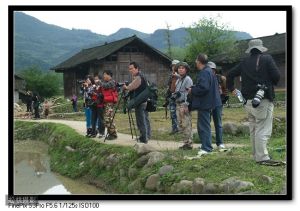 中國數碼攝影家協會 中國數碼攝影家協會