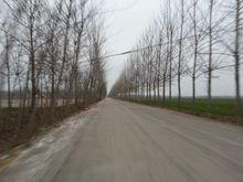 梅劉莊村東路往北