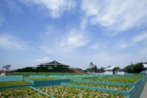 隋唐城明堂遺址 隋唐城明堂遺址