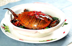 冰糖龜肉 冰糖龜肉