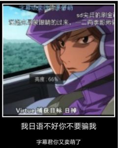 野生字幕君 野生字幕君