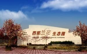 西部蘭花生態園 西部蘭花生態園