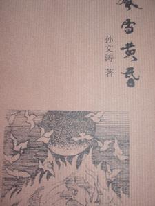 孫文濤[中國作家]