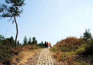 麻桑古道 麻桑古道