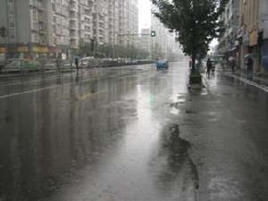 東林城市花園三期 東林城市花園三期