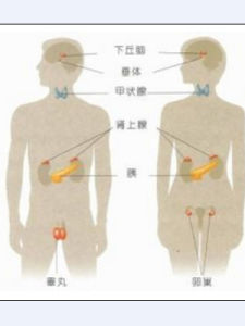 內分泌失調性不孕