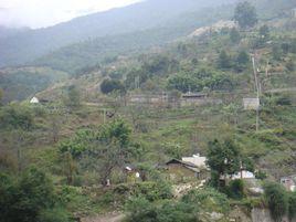 箐頭自然村[雲南省臨滄雲縣涌寶鎮柄柏村委會箐頭自然村]