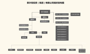 泰爾恆(集團)組織架構圖