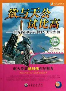 欲與天公試比高 欲與天公試比高