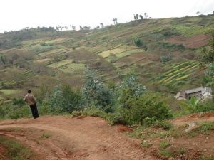 新二自然村 新二自然村