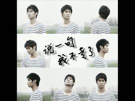 說一句我不走了 說一句我不走了