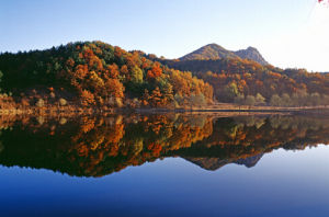 六里坪國家森林公園 六里坪國家森林公園