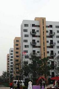 東麗湖萬科城五期中心 東麗湖萬科城五期中心