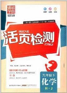 通城學典·活頁檢測:9年級化學 通城學典·活頁檢測:9年級化學