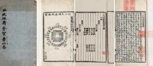 《三元延壽參贊書》 《三元延壽參贊書》