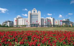 大慶高新技術產業開發區