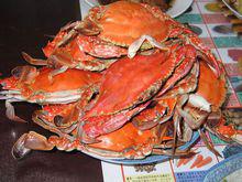 各式清蒸螃蟹成品