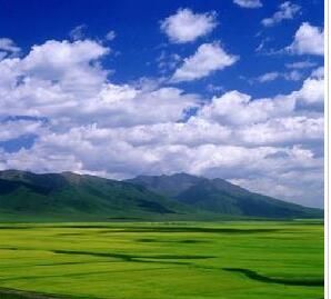 青海湖國家級自然保護區