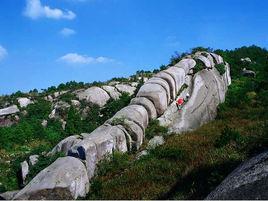 溫州茶山 溫州茶山