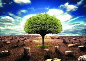 綠色財富 綠色財富