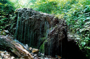 板橋自然保護區