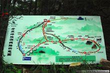 西峽老界嶺風景區