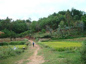 羅卜地自然村 羅卜地自然村