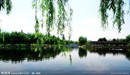 柳湖 柳湖