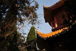 漢牡丹亭 漢牡丹亭