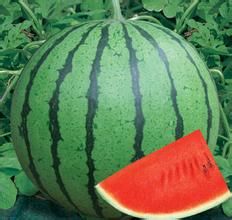 昌蜜三號 昌蜜三號