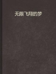 無限飛翔的夢 無限飛翔的夢