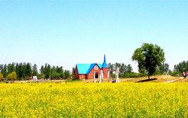 鄭州普蘭斯薰衣草莊園 鄭州普蘭斯薰衣草莊園