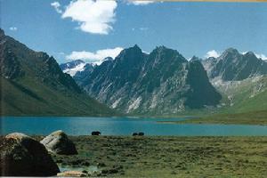 稱多縣巴顏喀拉山風景圖片