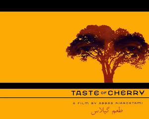 《櫻桃的滋味》