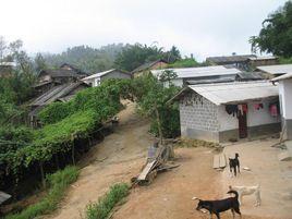 大其苗村 大其苗村