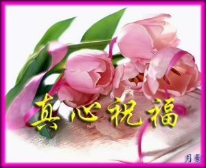 愛與友誼 愛與友誼