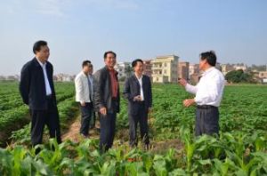 旺竹山村 旺竹山村