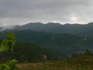 東村自然村 東村自然村