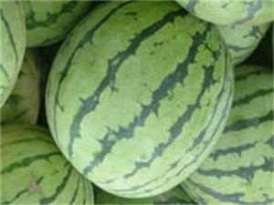 板子房西瓜 板子房西瓜