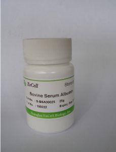 血清白蛋白 血清白蛋白